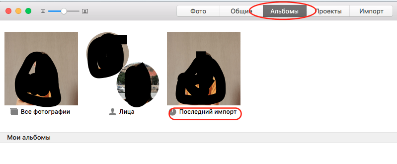 альбомы