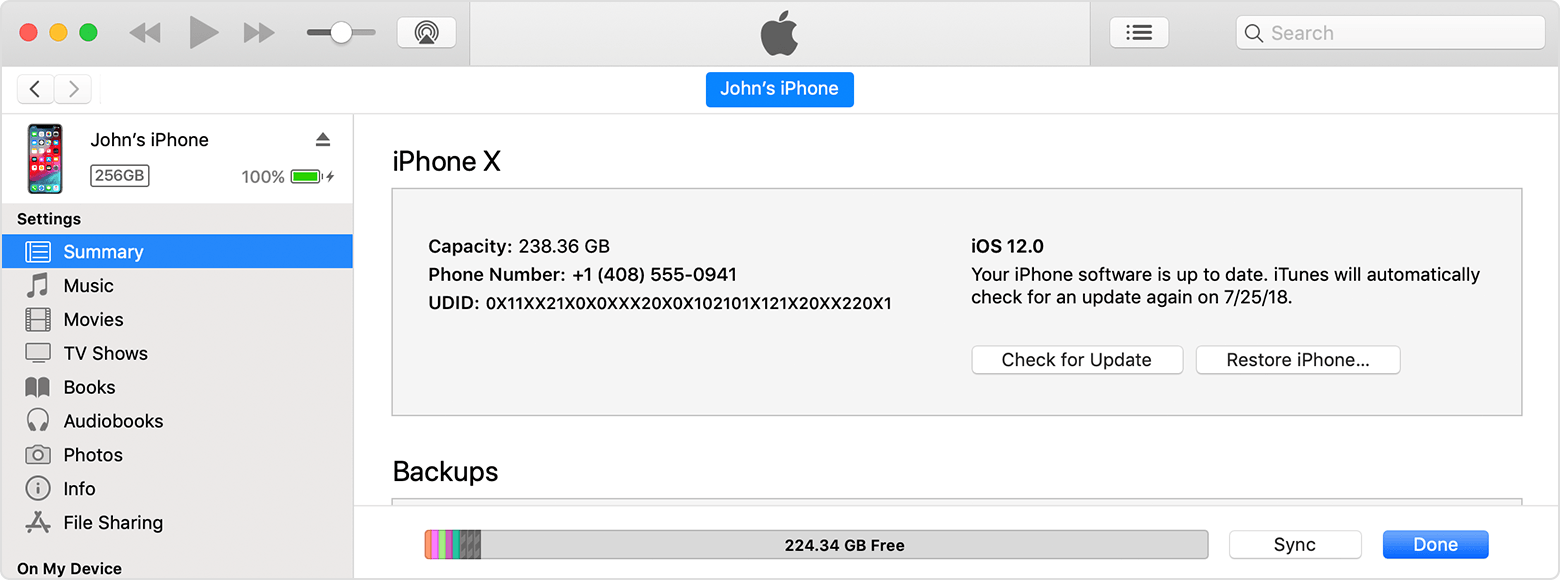 Окно iTunes с вкладкой «Обзор».