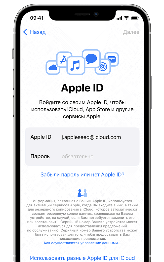 Экран с возможностью входа с Apple ID и паролем