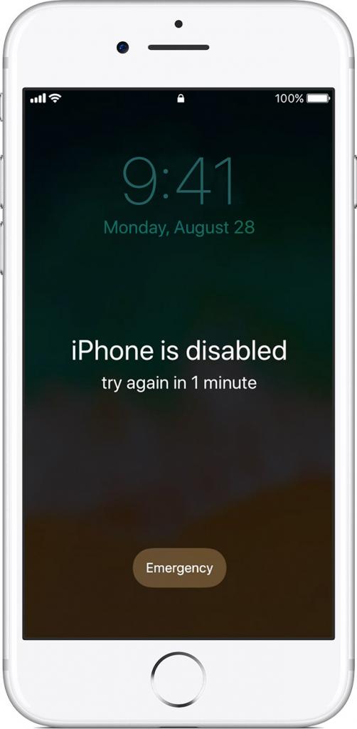 как отключить пароль на айфоне 5s