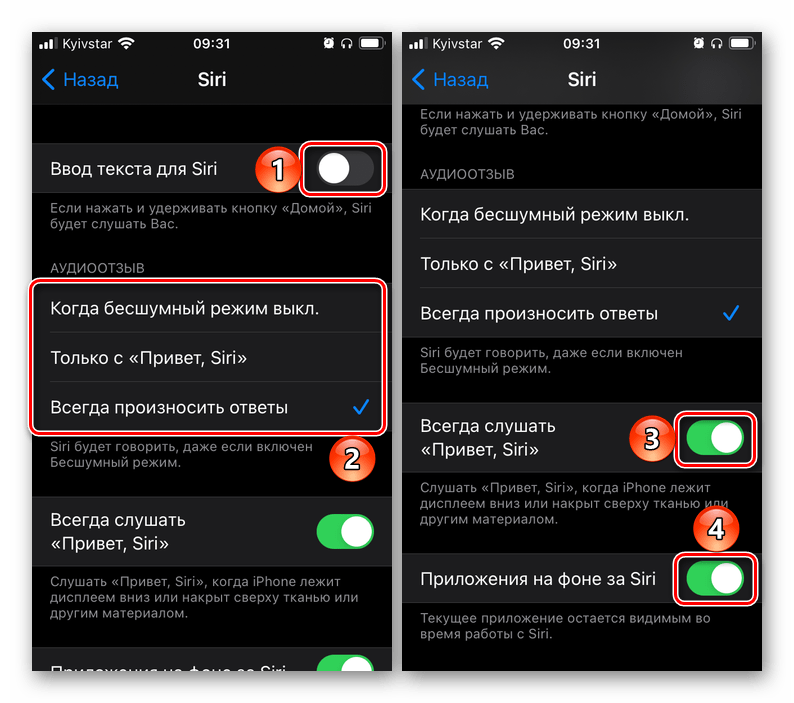 Изменение специальных возможностей для Siri в настройках iOS на iPhone