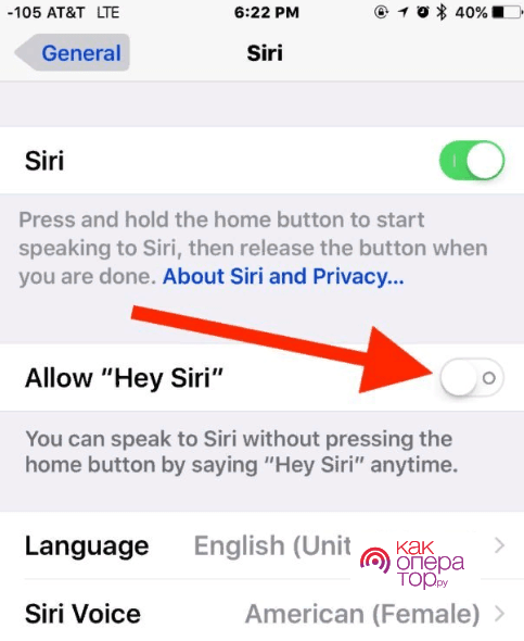 Как отключить Siri на iPhone и macOS?