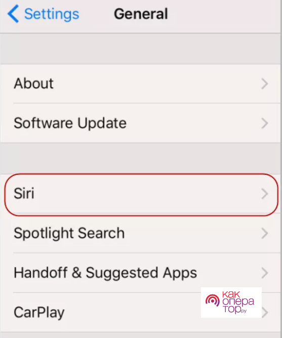 Как отключить Siri на iPhone и macOS?