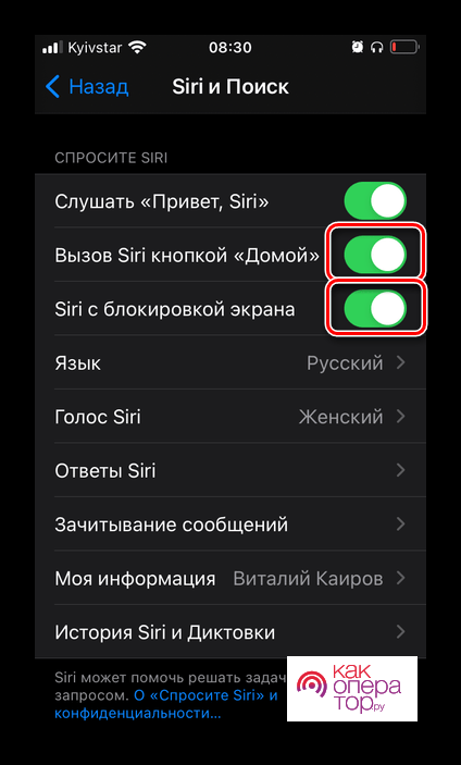 Включить все параметры вызова Siri в настройках iOS на iPhone